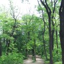 늠내길3코스 옛길 이미지