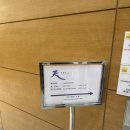 스카이21 이미지