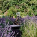 내양농장 이미지