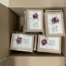 컴퍼니 온도 이미지