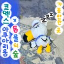 [삼성]코엑스 아쿠아리움x동물의숲 : 수족관으로 당장 모여봐구리-!