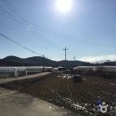 하도문쌈채마을 이미지