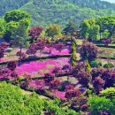 동산잔디 이미지