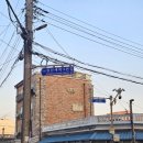 오산천 자전거대여소 | 오산천 벚꽃축제 실시간 개화현황, 주차팁, 후기🌸