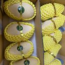 모모맘공구 이미지