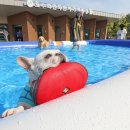 오수의견관광지 이미지