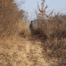 목령산성 이미지