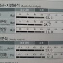 오늘다이어트 - 은평구 | 오늘다이어트
