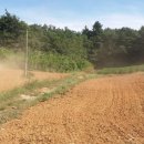 샘뜰목장 이미지