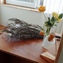 유어스프링 이미지