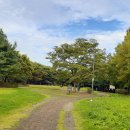 난지천4(놀이터) 이미지