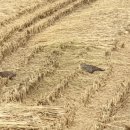 뜰과풍경 이미지