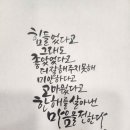 남해에서하루