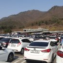 아호동민박 이미지