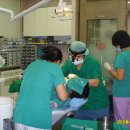 김기채치과의원 이미지