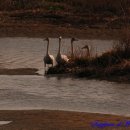 철새박물관 이미지