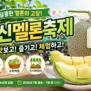 수신삼거리 | 🍈 2026 수신멜론축제 완벽 가이드🍈