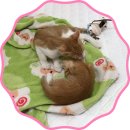 차차그루밍 이미지