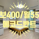 에코드반트 이미지