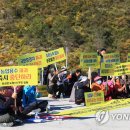 도원태양광발전소 이미지