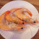 건강하새우 이미지