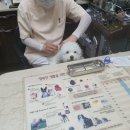 김인천동물병원 이미지