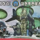 용인대 태비태권도장 이미지