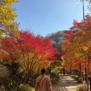 임부복 출산준비 피터래빗 | 임신 중기(14-27주) - 임부복 추천/아기용품 준비