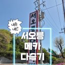 서오릉다슬기해장국 | [은평/서오릉 맛집] 서오릉 메카 다슬기 해장국 찐 단골 후기