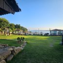 해비치나루 이미지