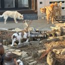 서하네 민박 이미지