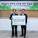 고양이당 이미지