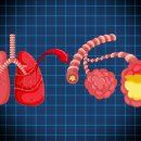 나을동물병원 이미지