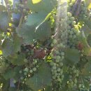 다래민박 이미지