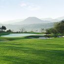 골든비치 이미지