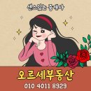 동탄역더샵오르세공인중개사사무소 이미지