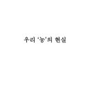항꾸네 협동조합 이미지
