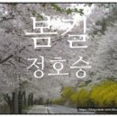 봄길 이미지