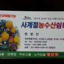 주환농장 | 제주 하우스감귤체험, 그리고 쇠소깍 풍경