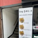 독 블레스 유 이미지