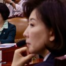 2026지방선거 동시개최, 6.3국회의원 재보선 ‘미니총선’…최대 20여곳 ‘혈투’ 예고 이미지