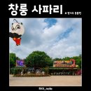 사파리 | [중국] 광저우 여행 창롱 사파리 동물원 후기