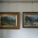 애버그린 이미지