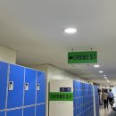 잠실 프리다이빙 :: 올림픽수영장 잠수풀 와이낫다이브 원데이클래스 후기