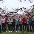 경산둥지과수영농조합법인 이미지