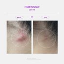 제이에르 이미지