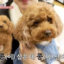 콩순이네 이미지