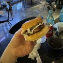 서면 데이트 장소로 제격인 구워주는 갈비집 화둥숯불갈비