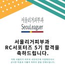 (주)서울리거 이미지