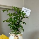 서울이원치과의원 이미지